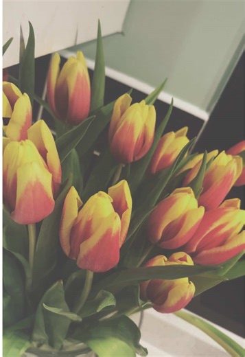 Emotional Lip Sync Moments with Friends