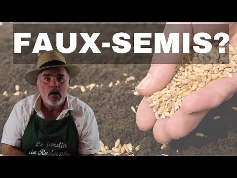 Pourquoi faut-il pratiquer le faux-semis ?