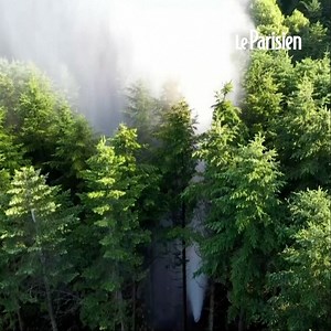 65K views · 960 reactions | Un geyser d'environ 30 mètres de haut a fait irruption lundi 8 août au milieu d’un sanctuaire sur l’île d’Hokkaidō, au Japon. Deux semaines plus tard, le jet reste très puissant. | Le Parisien | Facebook