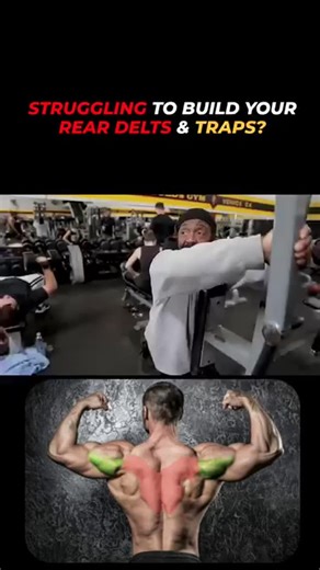 CHARLES COACHING on Instagram: "🏆Master the Rear Delt Fly on the Pec Deck Machine. 🔗JOIN MY GOB PROGRAMS / COACHING https://bit.ly/CHARLES-ONLINE-COACHING When performing rear delt flys on the pec deck machine, place your hands facing out (palms outward) and elevate them slightly above eye level. This technique not only emphasizes your rear delts but also engages your mid and lower trapezius muscles for a complete upper-back definition. It’s a game-changer that the legendary Char