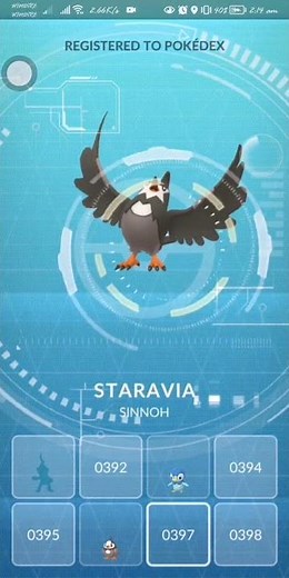 Starly evolve to Staravia 3 Star Appraisal #pokemongo #pokemon