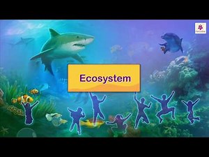 Ecosystem | Science For Kids | Periwinkle