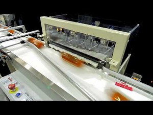 1 to 2 lane diverter - Sewtec