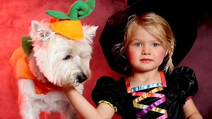 What to wear for Halloween