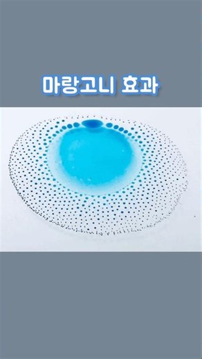 #마랑고니효과 #표면장력기울기 #메틸렌블루 #에탄올 #식용유 #MarangoniEffect #SurfaceTensionGradient #MethyleneBlue