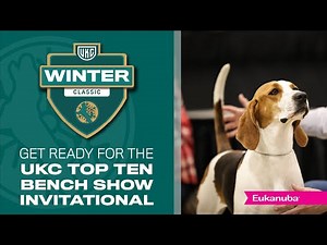UKC Top Ten Coonhound Bench Show Invitational