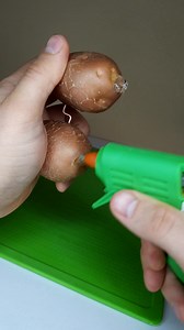 162K views · 496 reactions | WOW  Free Electricity from Potatoes  | RHCB Experiments | Facebook