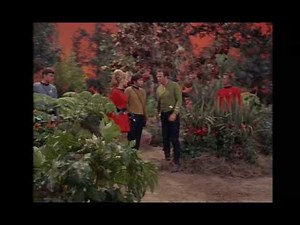 The Star Trek Universe Kirk's Women