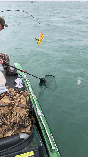 5.5K views · 11 reactions | SLX Trolling Rod7’ ML & M $50 8’ M Telescopic $60 8’6” M Telescopic $65 | Coots Lures | Facebook