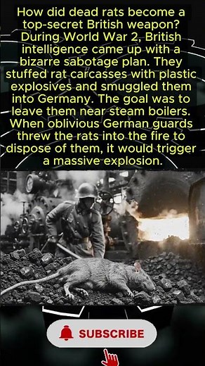Exploding Rats: WW2’s Weirdest Weapon 🐀💣