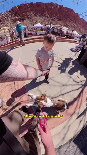 Advocating for Your Rescue Dog in Public Spaces