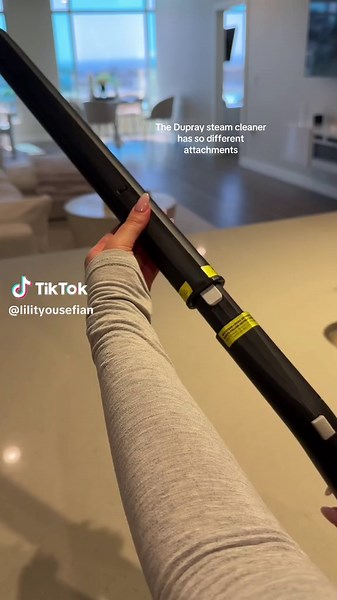 Therapeutic Cleaning with Dupray Steam Cleaner