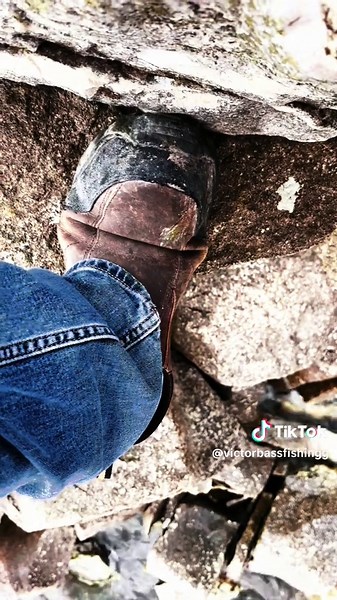 #fishing#fyp#paratiiiiiiiiiiiiiiiiiiiiiiiiiii@Senia Isidro 🇭🇳 @CESAR BASS FISHING 🎣 🐟 @hectorelcuate81 @Gopar rey @Fishin With E🎣 @ALEX @chavezr87 @MANNY190🎣🐠 @carasucia @♓️🐟🇲🇽HUACHICOL321🌊🎣 @Miguel🇲🇽🫶🇲🇽🇺🇸Dfran🎣🎣@🎣fishing with valencia 🎣🫡