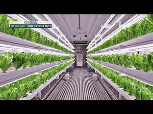 날씨와 환경에 영향받지 않고 재배 가능한 '컨테이너 농장' [다큐 플러스 - CES 2020 도전기 사람을 위한 혁신을 꿈꾼다]
