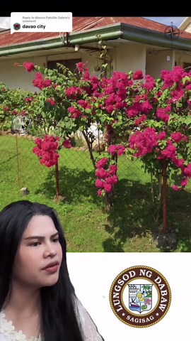 Exploring Davao City: A Travel Guide to the Philippines