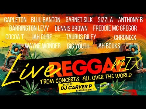 Conscious Reggae Mix#2- “LIVE" Reggae Concert Mix - DJ Carver P