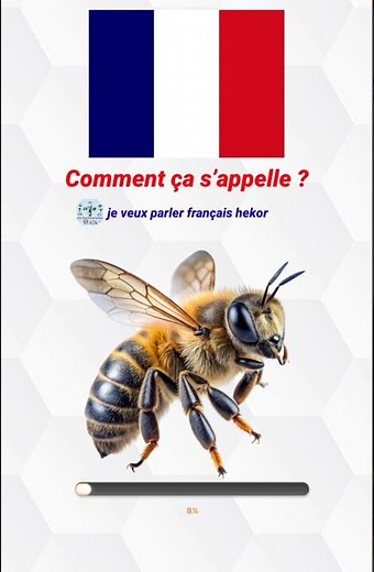 L'Encyclopédie des Insectes : Un Monde Fascinant.#Insectes #Nature #Entomologie #animaux