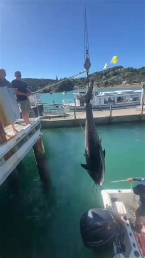 Moon Tide Fishing on Reels