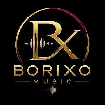 Borixo Official Audio Logo | Cinematic Music Signature | Brand Intro Theme