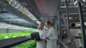 Modern farmers of the future monitor the growth of plants and grow...