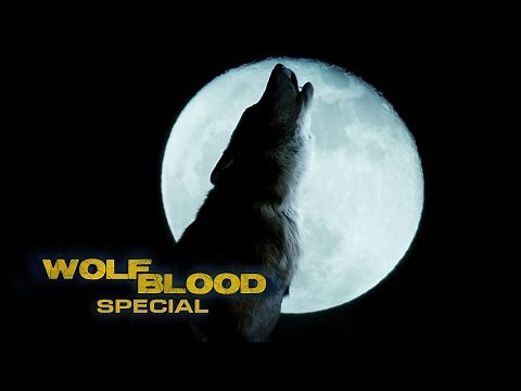 Maddy's first Transformation | WOLFBLOOD Special