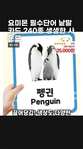 요미몬 필수단어 낱말카드 240종 생생한 사운드