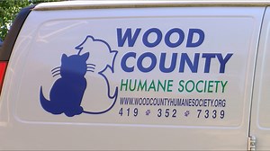 Wood County Humane Society under quarantine due to potential feline virus