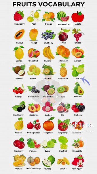 Fruits Vocabulary in English | Learn Words for Different Fruits