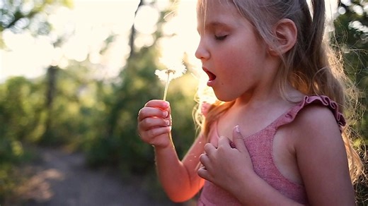 littlelizardking - Etsy