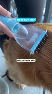 2.1K reactions · 386 shares | Dreaming of a Fur-Free Holiday?  The...