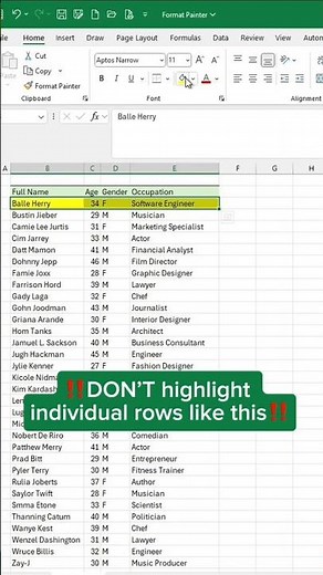 Excel Format Painter in Excel - How to Use it!