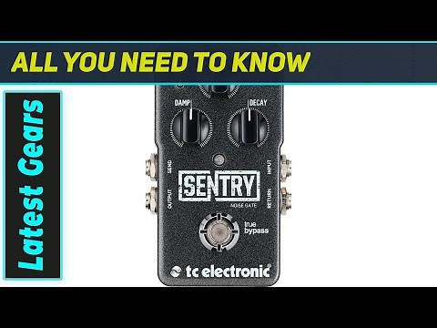 TC Electronic SENTRY NOISE GATE: Silence Your Rig Like a Pro