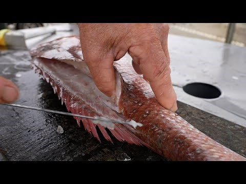 Seamless Snapper Slicing: Your Step-by-Step Guide to Masterful Fish Filleting