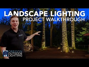 Landscape Lighting with Giant Fir Trees | Oregon Outdoor Lighting