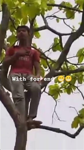 With for end 😁😁 #shorts #funny #trending #viral #shortvideo