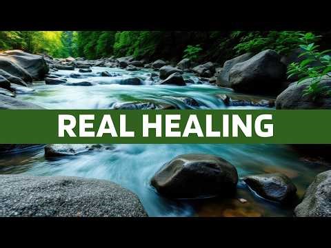 😴 Sleep Experts Can’t Believe How Effective This Mountain Stream Sound Is 🌄