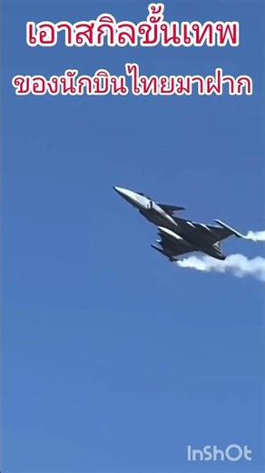 The aerial display was amazing! Absolutely fantastic!