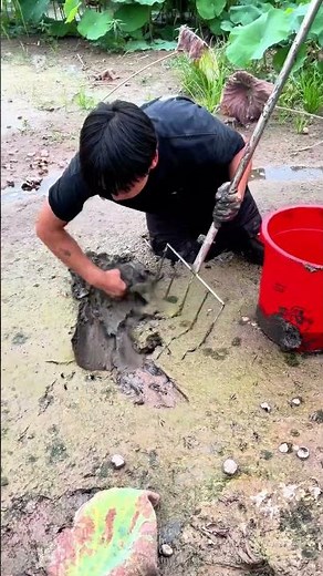 The process of catching soft-shelled turtles is shared