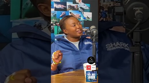 Sophu Qoma, loves pyjama sharks, The Great White Shark Experience podcast