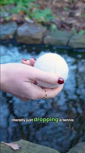 This Tennis Ball Trick Can Help Stop Your Pond Freezing ❄️🎾