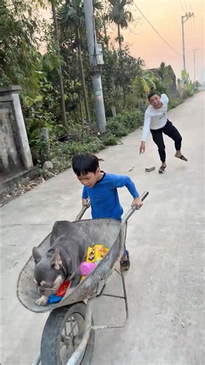 Brave Baby Saves a Dog From a Wild Predator! 🐶❤️