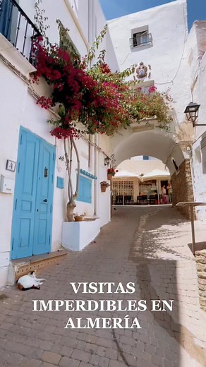 Aquí tienes algunas recomendaciones de bonitos lugares para visitar en Almería. #almería #andaluciaviva #andalucia #andaluciaturismo #turismoandalucia #españa 🎥 Tk: @cuatroenmarcha | Soy de Almería