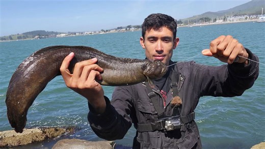 Fishing on the Rocks: Cooking Fish Tacos with a Monkey-Faced Eel 🎣