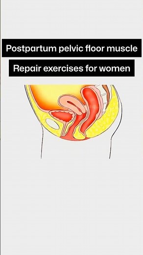 Postpartum Pelvic Floor Repair Gentle Exercise 💗