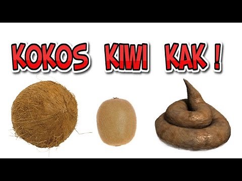 VIEZE GRAPPIGE LIEDJES EN VLOGS | Kokos, kiwi, kak! | Lach je stuk! | Grappige muziek | Lachen!