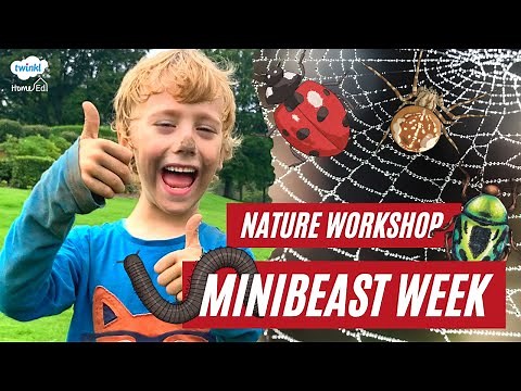 Minibeast Week: Home Education Nature Workshop