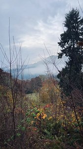 3.3K views · 115 reactions | Nature therapy | Sable Rae Art | Facebook