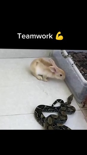 Teamwork=Dream work #work #team #success #mindset