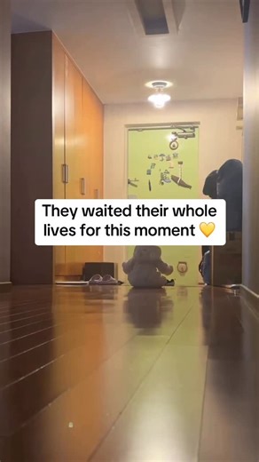 Holistic Sleep & Parenting Coaching Institute | IPHI on Instagram: "A surprise. A doorway. A first meeting. The beauty of an authentic family connection, a quiet surprise with a reminder that simple family moments become lifelong memories. Moments like these remind us that love lives in family structures, in intergenerational bonds, and in the support we give one another across a lifetime. Simple moments last forever, and connection is what carries families forward. At the International Parentin