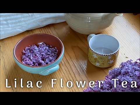 Lilac flower tea - summer cottage
